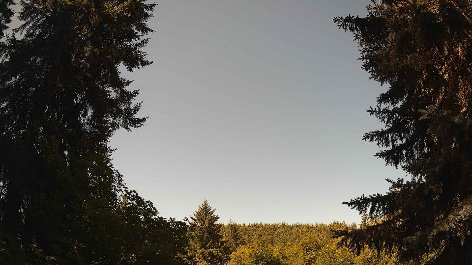 Pacific Northwest skyline timelapse frame from Jul 14th, 2026 at 10:30 AM