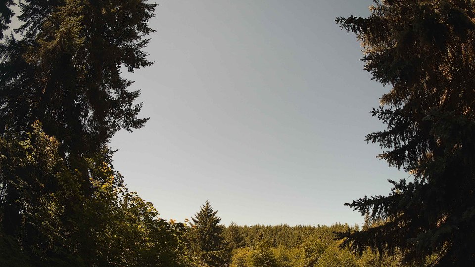 Pacific Northwest skyline timelapse frame from Jul 14th, 2026 at 11:30 AM