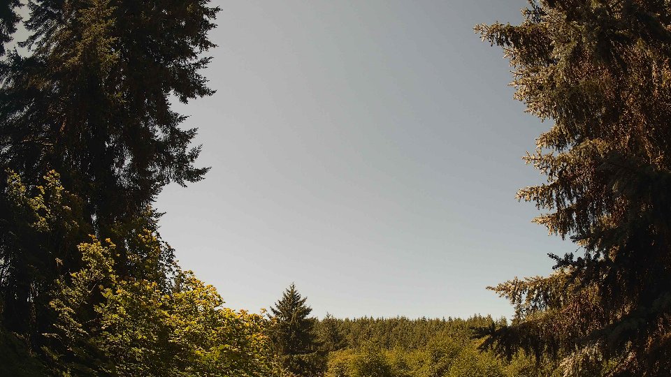 Pacific Northwest skyline timelapse frame from Jul 14th, 2026 at 11:45 AM