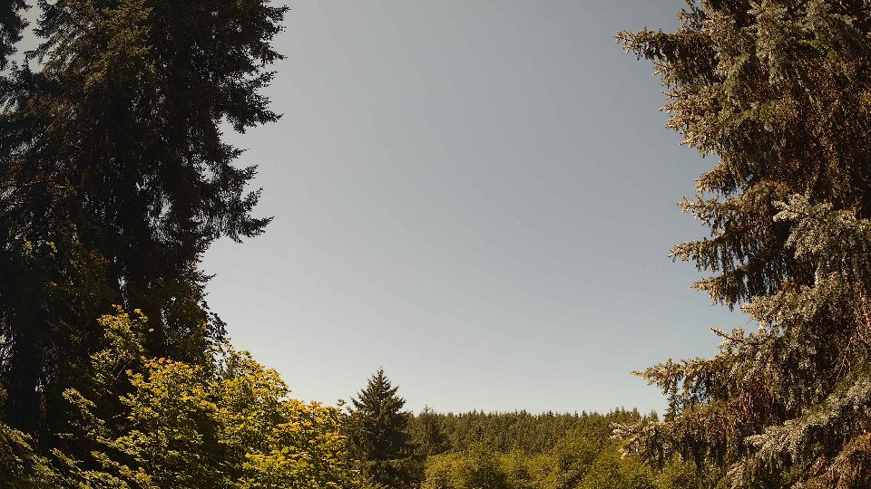 Pacific Northwest skyline timelapse frame from Jul 14th, 2026 at 12:00 PM