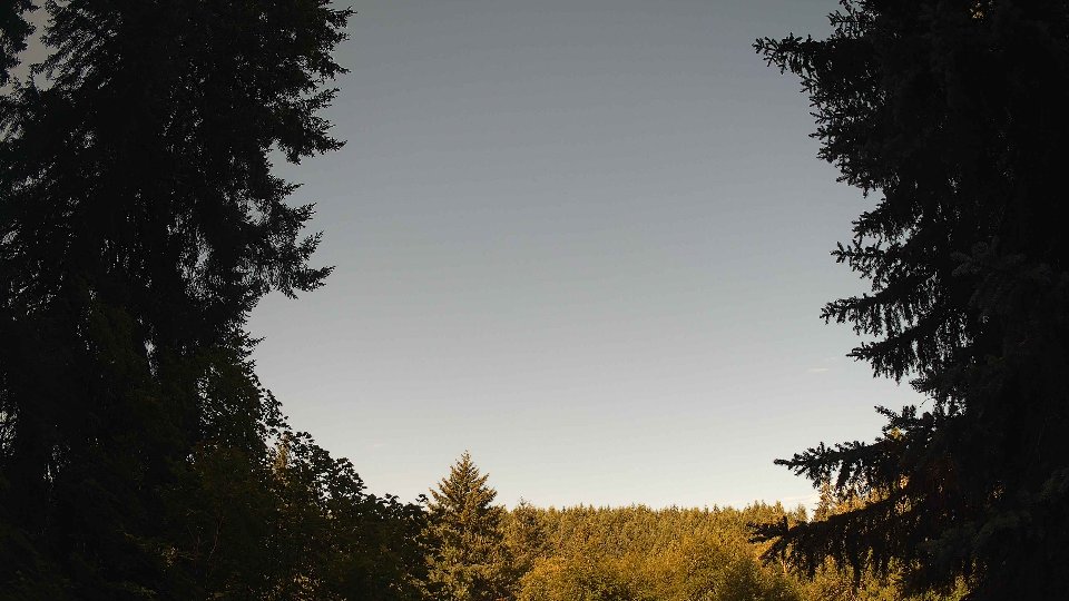 Pacific Northwest skyline timelapse frame from Jul 15th, 2026 at 8:30 AM