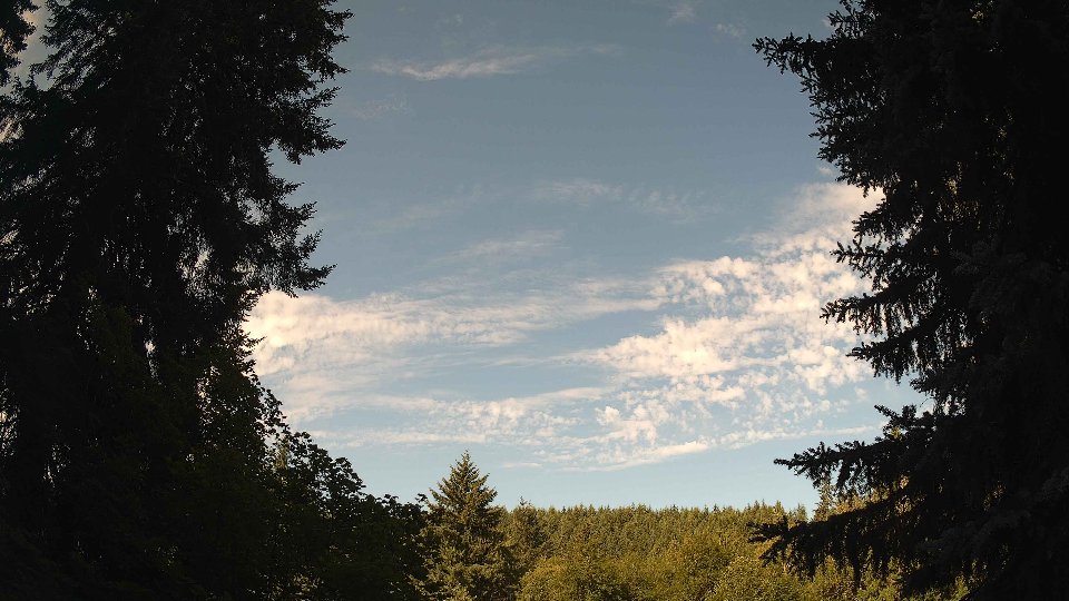 Pacific Northwest skyline timelapse frame from Jul 15th, 2026 at 9:00 AM