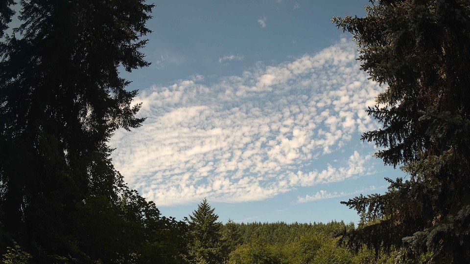 Pacific Northwest skyline timelapse frame from Jul 15th, 2026 at 9:45 AM