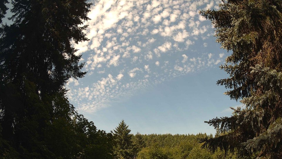 Pacific Northwest skyline timelapse frame from Jul 15th, 2026 at 10:00 AM