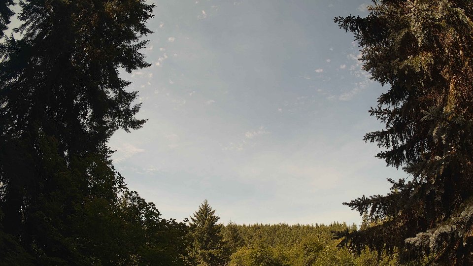 Pacific Northwest skyline timelapse frame from Jul 15th, 2026 at 10:15 AM