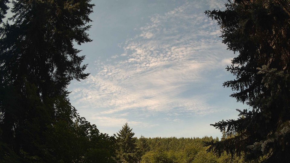 Pacific Northwest skyline timelapse frame from Jul 15th, 2026 at 10:30 AM