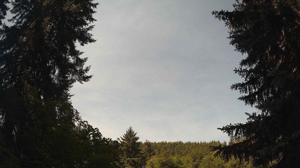 Pacific Northwest skyline timelapse frame from Jul 15th, 2026 at 11:00 AM