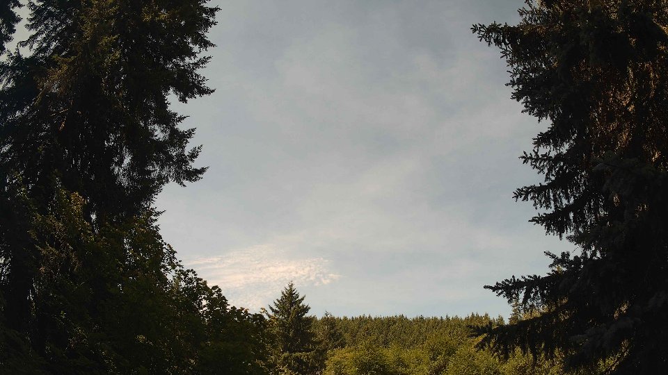 Pacific Northwest skyline timelapse frame from Jul 15th, 2026 at 11:15 AM