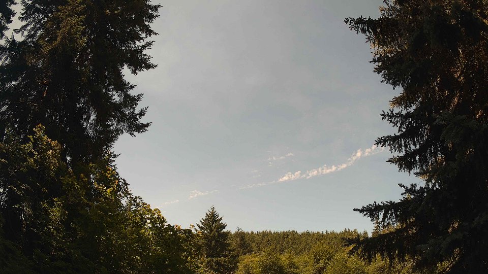 Pacific Northwest skyline timelapse frame from Jul 15th, 2026 at 11:30 AM