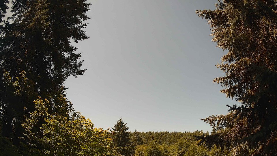 Pacific Northwest skyline timelapse frame from Jul 15th, 2026 at 11:45 AM