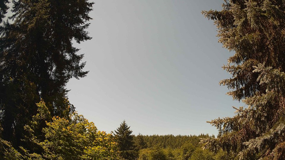 Pacific Northwest skyline timelapse frame from Jul 15th, 2026 at 12:00 PM