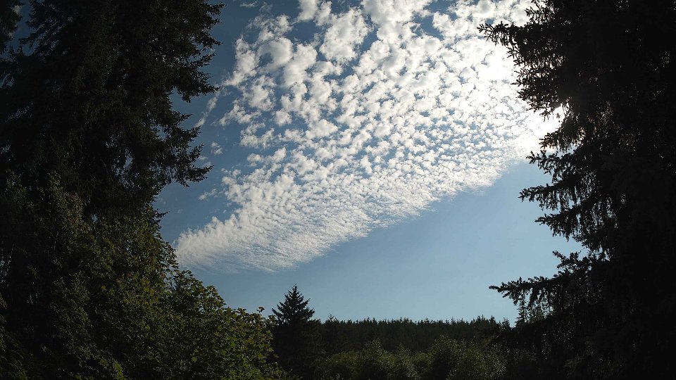 Pacific Northwest skyline timelapse frame from Jul 15th, 2026 at 5:15 PM