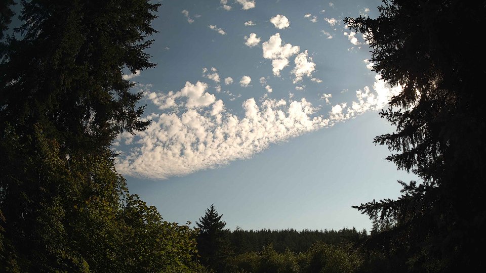 Pacific Northwest skyline timelapse frame from Jul 15th, 2026 at 5:30 PM
