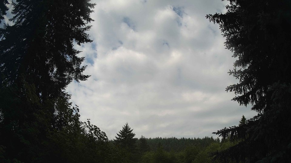 Pacific Northwest skyline timelapse frame from Jul 16th, 2026 at 8:45 AM