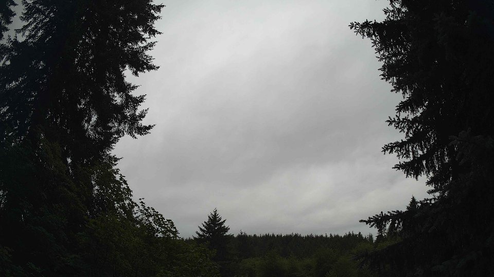 Pacific Northwest skyline timelapse frame from Jul 16th, 2026 at 11:30 AM