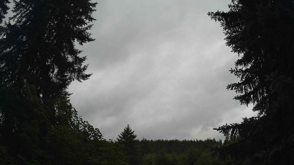 Pacific Northwest skyline timelapse frame from Jul 16th, 2026 at 1:30 PM