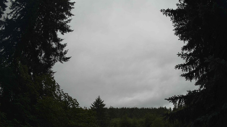 Pacific Northwest skyline timelapse frame from Jul 16th, 2026 at 1:45 PM