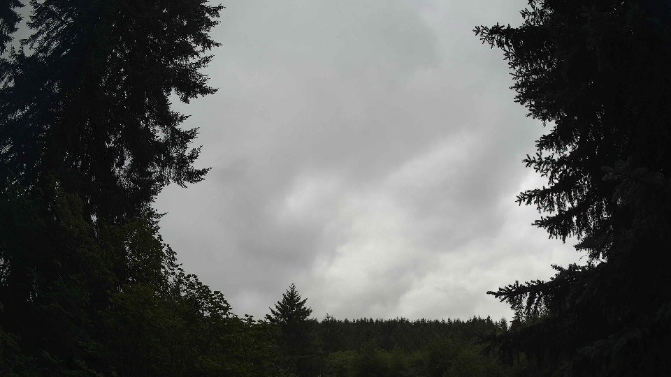 Pacific Northwest skyline timelapse frame from Jul 16th, 2026 at 3:00 PM