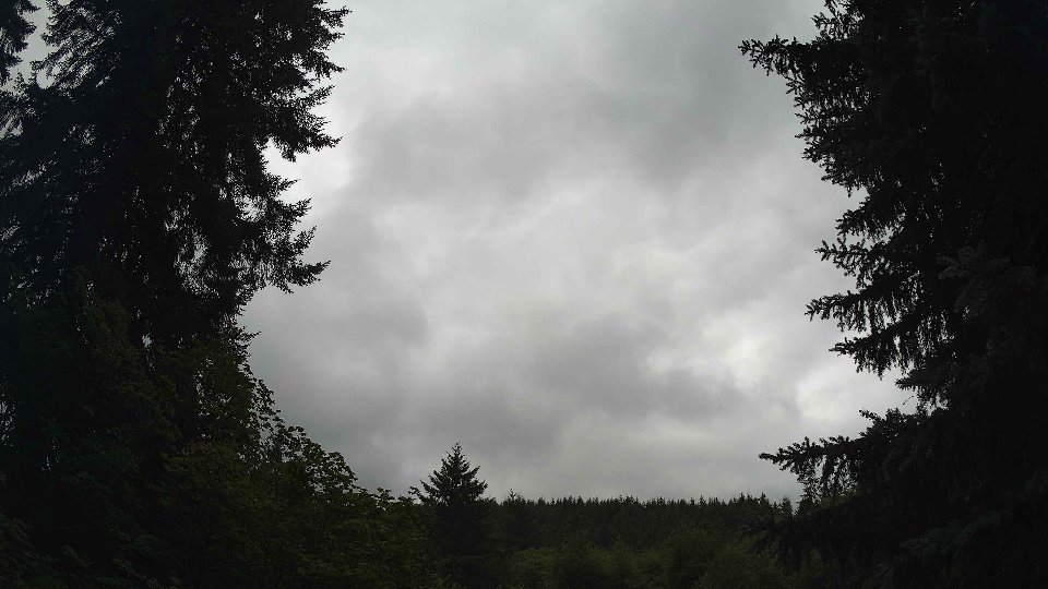 Pacific Northwest skyline timelapse frame from Jul 16th, 2026 at 3:45 PM