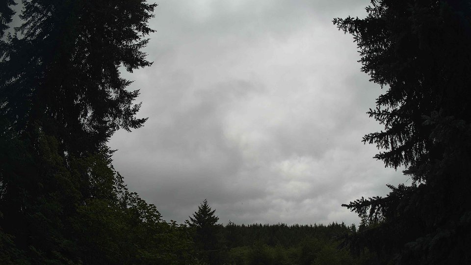 Pacific Northwest skyline timelapse frame from Jul 16th, 2026 at 4:00 PM
