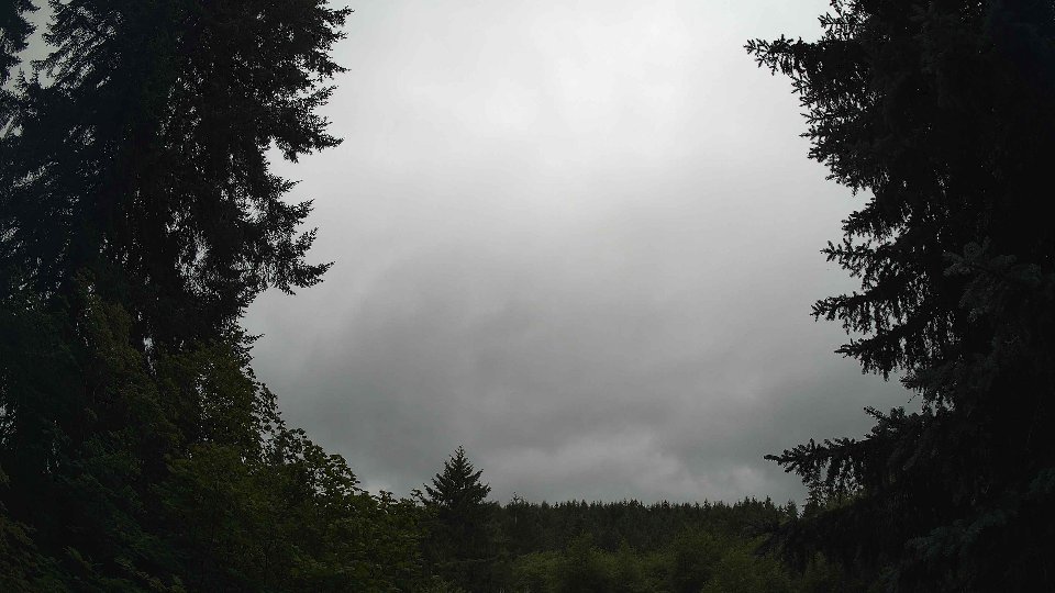 Pacific Northwest skyline timelapse frame from Jul 16th, 2026 at 5:30 PM