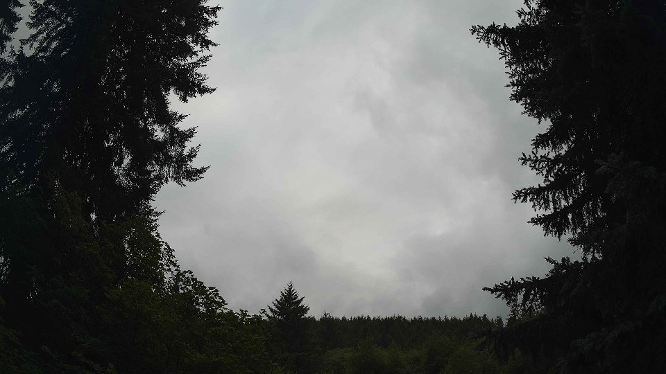 Pacific Northwest skyline timelapse frame from Jul 16th, 2026 at 7:15 PM