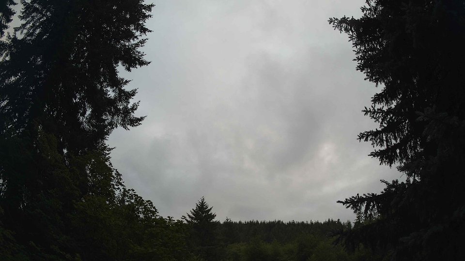 Pacific Northwest skyline timelapse frame from Jul 16th, 2026 at 8:30 PM