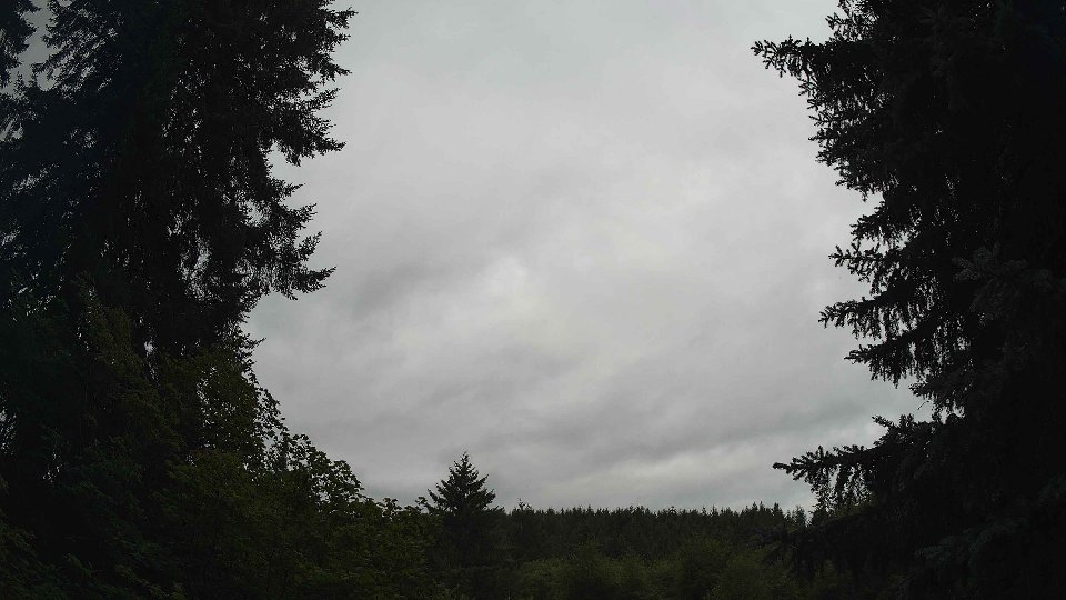 Pacific Northwest skyline timelapse frame from Jul 17th, 2026 at 8:30 AM