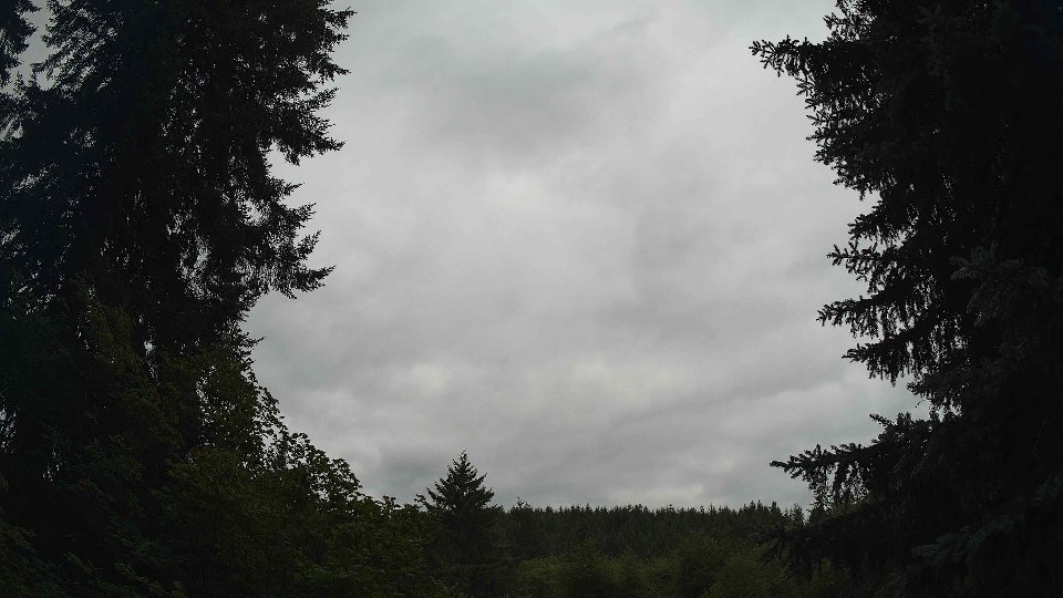 Pacific Northwest skyline timelapse frame from Jul 17th, 2026 at 9:00 AM