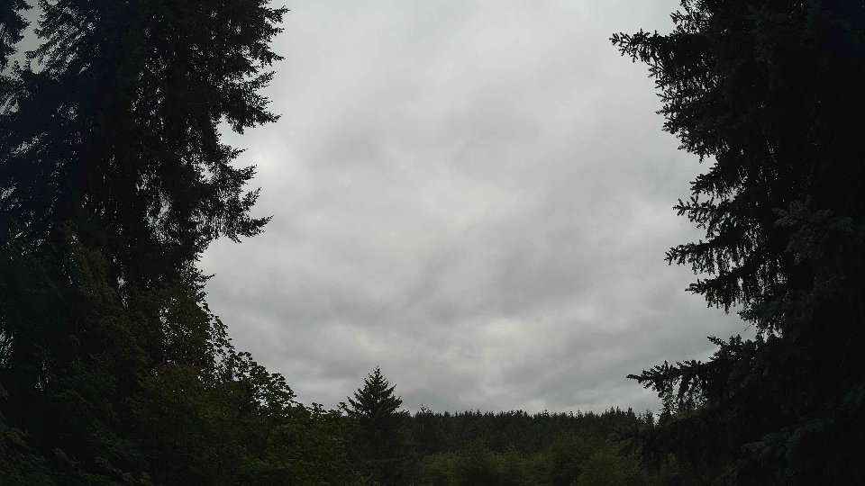 Pacific Northwest skyline timelapse frame from Jul 17th, 2026 at 9:15 AM