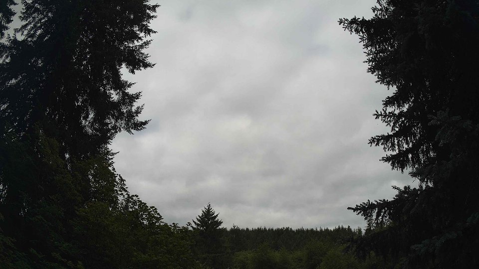 Pacific Northwest skyline timelapse frame from Jul 17th, 2026 at 9:30 AM