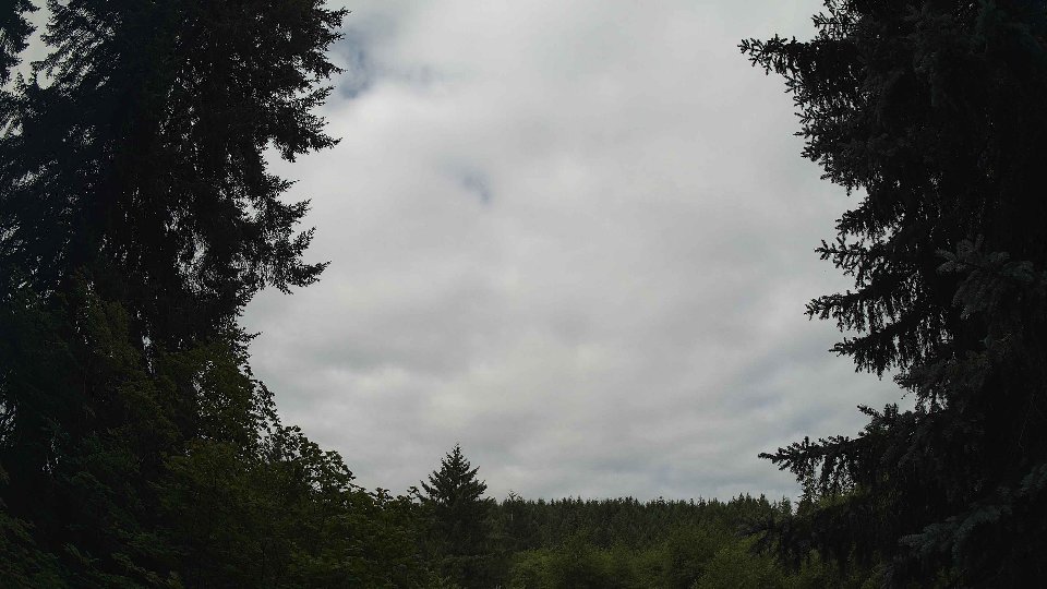 Pacific Northwest skyline timelapse frame from Jul 17th, 2026 at 9:45 AM