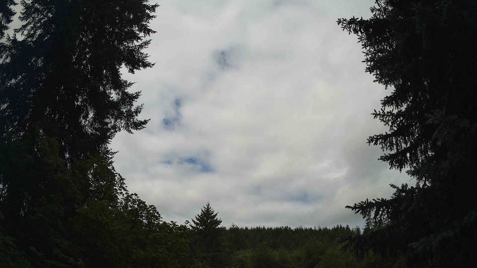 Pacific Northwest skyline timelapse frame from Jul 17th, 2026 at 10:15 AM