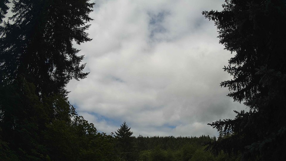 Pacific Northwest skyline timelapse frame from Jul 17th, 2026 at 10:30 AM