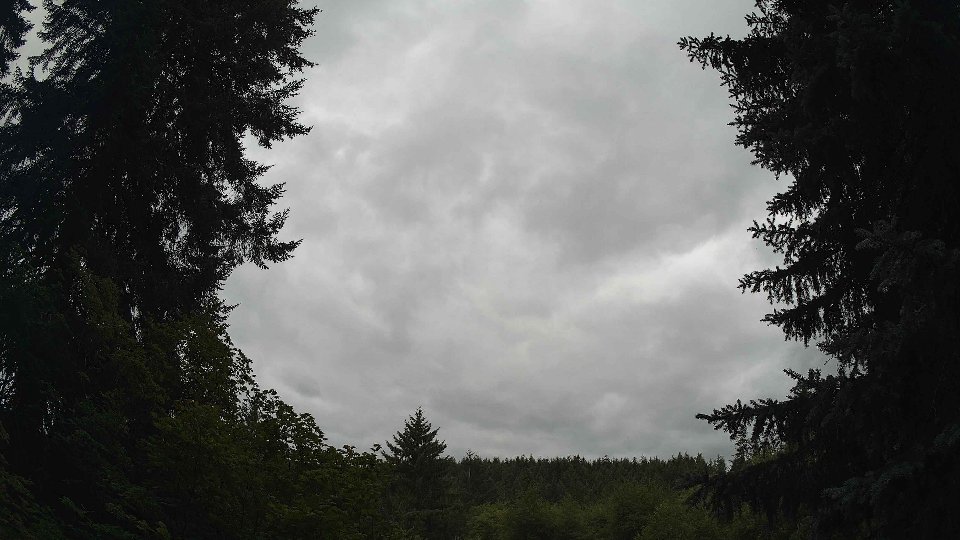 Pacific Northwest skyline timelapse frame from Jul 17th, 2026 at 11:00 AM