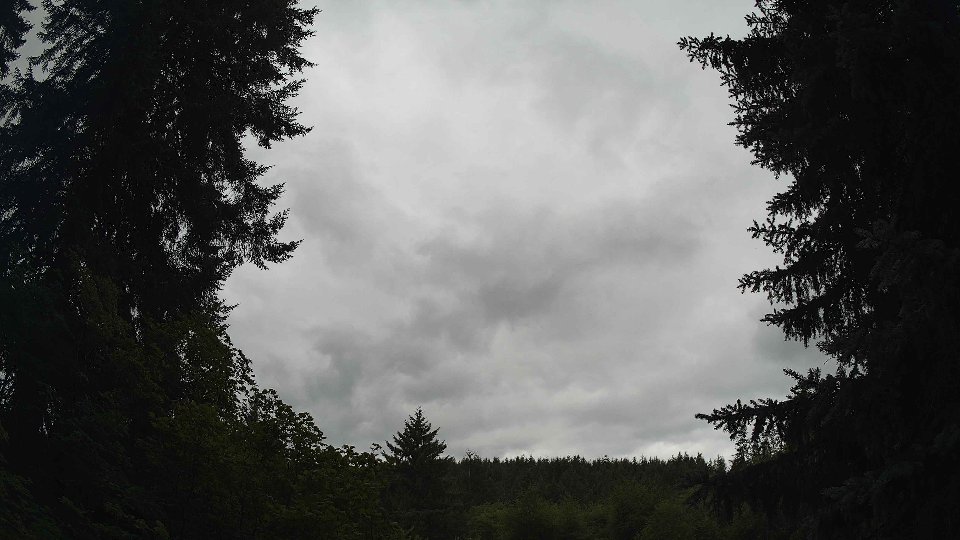 Pacific Northwest skyline timelapse frame from Jul 17th, 2026 at 11:15 AM