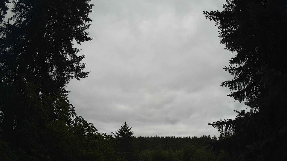 Pacific Northwest skyline timelapse frame from Jul 17th, 2026 at 11:30 AM