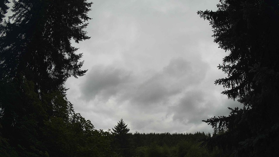 Pacific Northwest skyline timelapse frame from Jul 17th, 2026 at 11:45 AM
