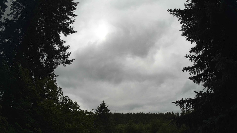 Pacific Northwest skyline timelapse frame from Jul 17th, 2026 at 12:15 PM