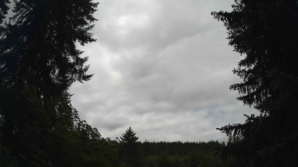 Pacific Northwest skyline timelapse frame from Jul 17th, 2026 at 12:30 PM
