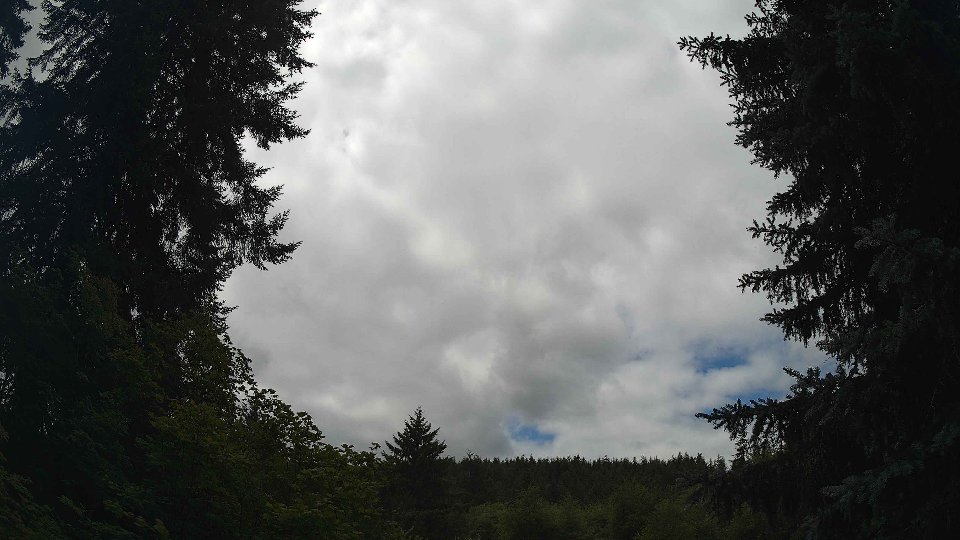 Pacific Northwest skyline timelapse frame from Jul 17th, 2026 at 12:45 PM