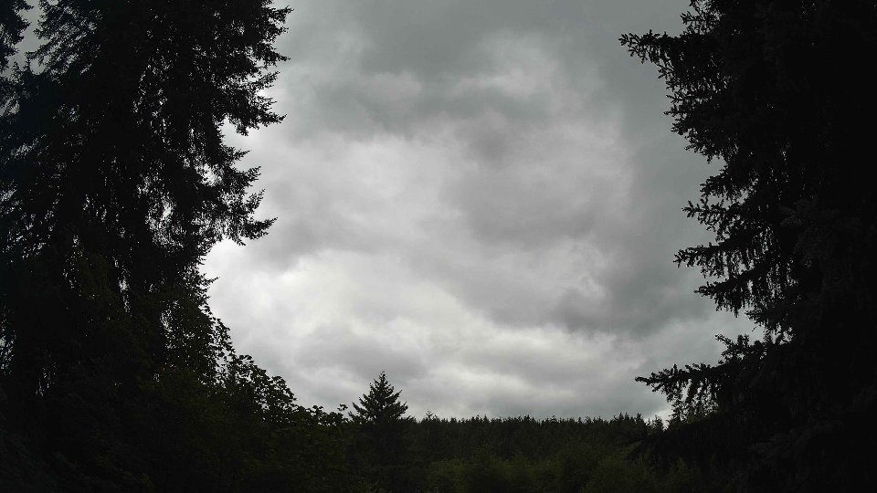 Pacific Northwest skyline timelapse frame from Jul 17th, 2026 at 1:15 PM