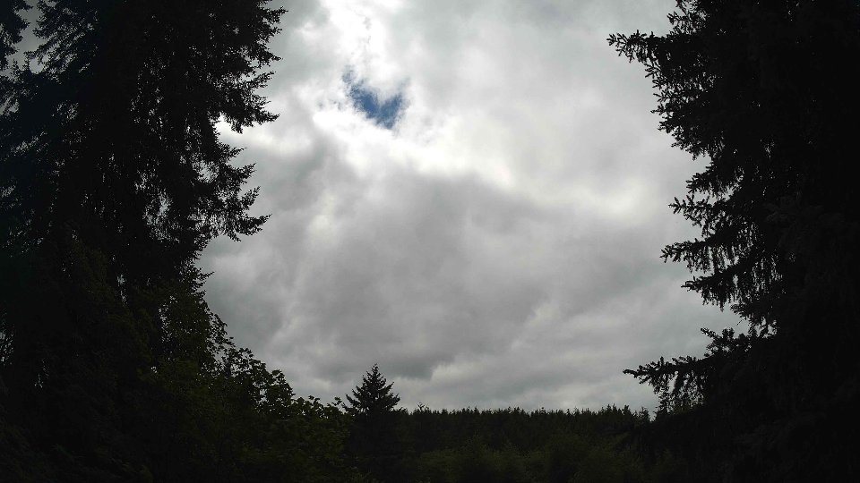 Pacific Northwest skyline timelapse frame from Jul 17th, 2026 at 1:30 PM