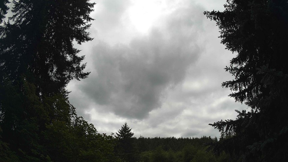 Pacific Northwest skyline timelapse frame from Jul 17th, 2026 at 2:15 PM