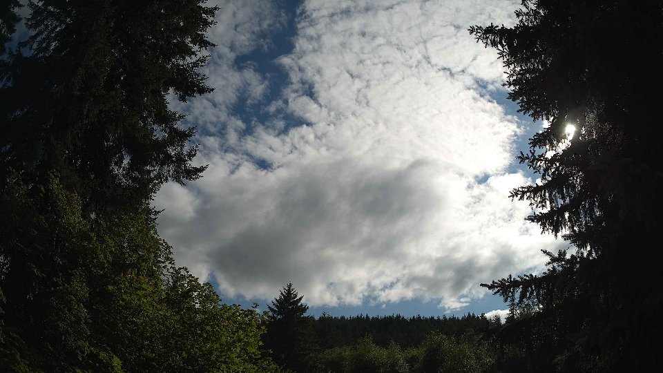 Pacific Northwest skyline timelapse frame from Jul 17th, 2026 at 5:30 PM