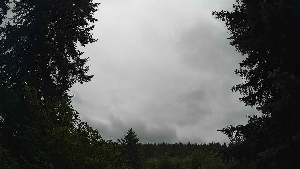 Pacific Northwest skyline timelapse frame from Jul 18th, 2026 at 11:15 AM