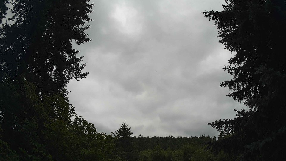 Pacific Northwest skyline timelapse frame from Jul 18th, 2026 at 11:45 AM