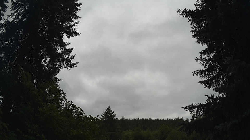 Pacific Northwest skyline timelapse frame from Jul 18th, 2026 at 12:30 PM