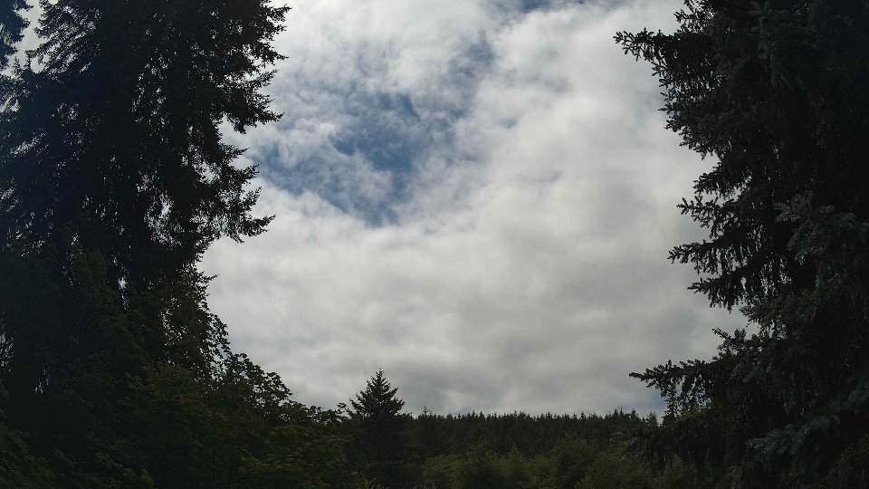 Pacific Northwest skyline timelapse frame from Jul 18th, 2026 at 1:00 PM