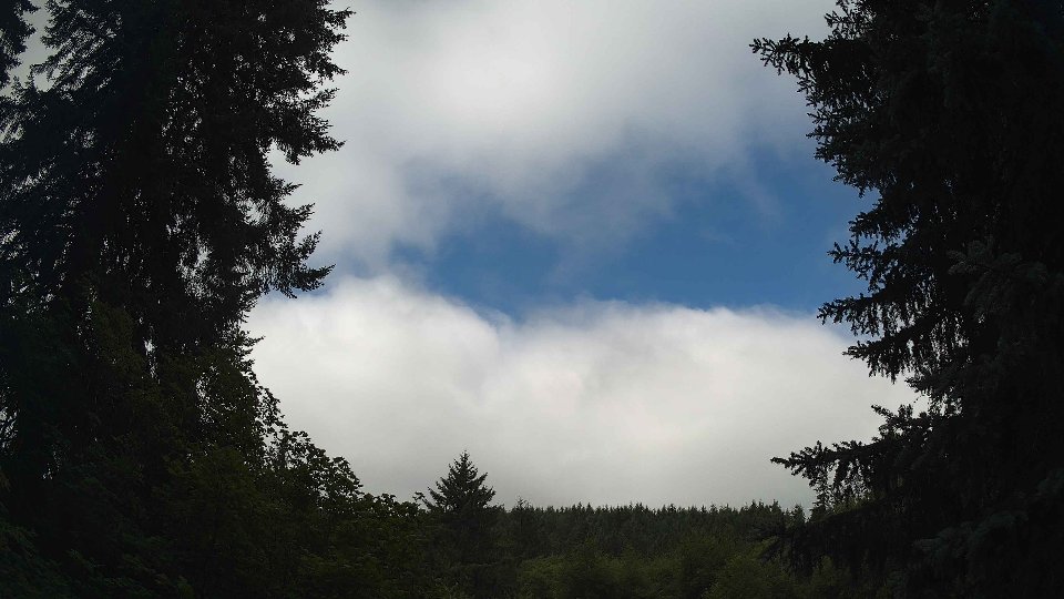 Pacific Northwest skyline timelapse frame from Jul 19th, 2026 at 10:00 AM